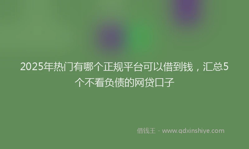 2025年热门有哪个正规平台可以借到钱，汇总5个不看负债的网贷口子