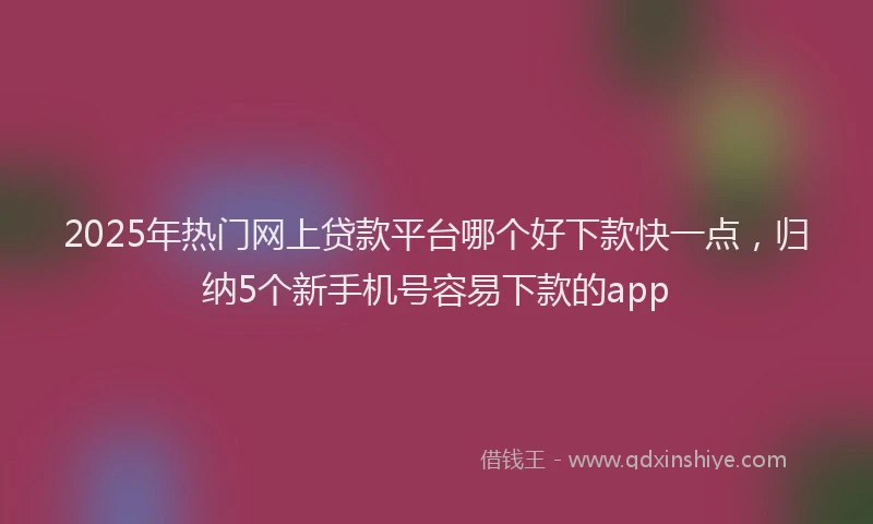 2025年热门网上贷款平台哪个好下款快一点，归纳5个新手机号容易下款的app