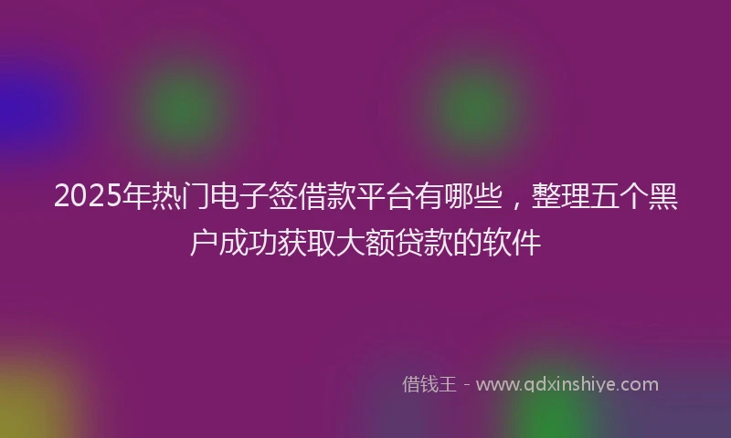 2025年热门电子签借款平台有哪些，整理五个黑户成功获取大额贷款的软件