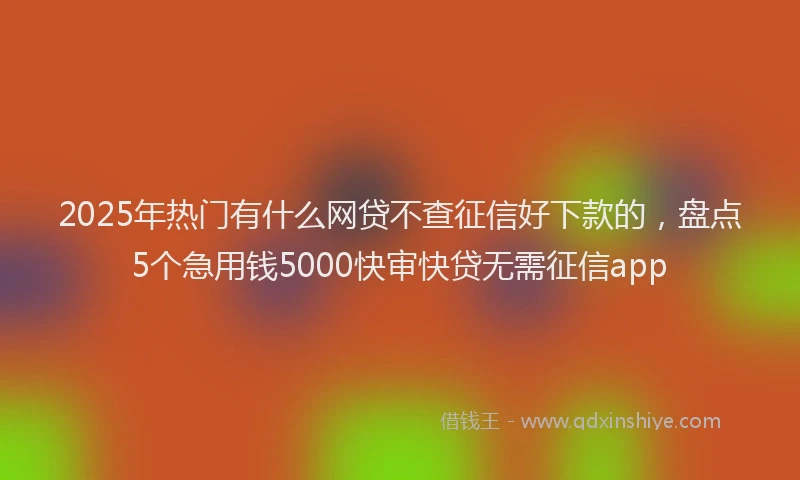 2025年热门有什么网贷不查征信好下款的，盘点5个急用钱5000快审快贷无需征信app