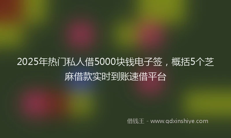 2025年热门私人借5000块钱电子签，概括5个芝麻借款实时到账速借平台