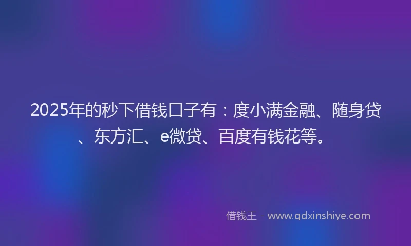 2025年的秒下借钱口子有：度小满金融、随身贷、东方汇、e微贷、百度有钱花等。