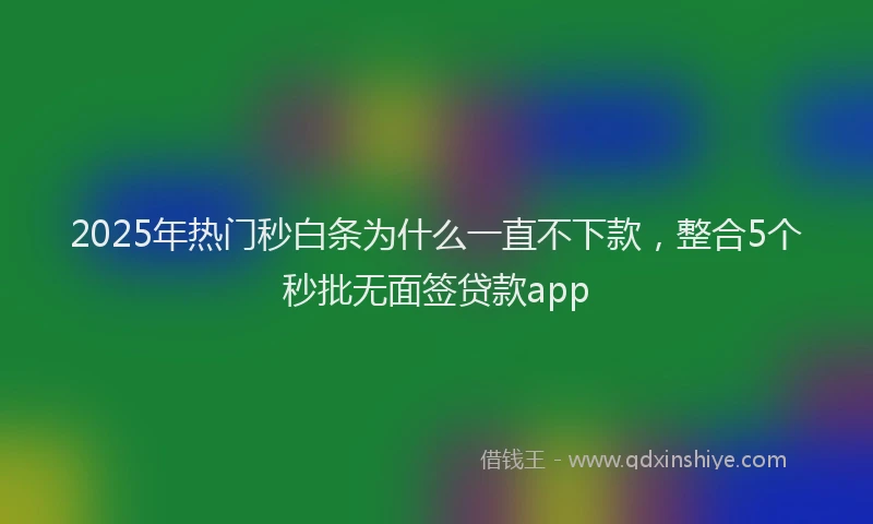 2025年热门秒白条为什么一直不下款，整合5个秒批无面签贷款app