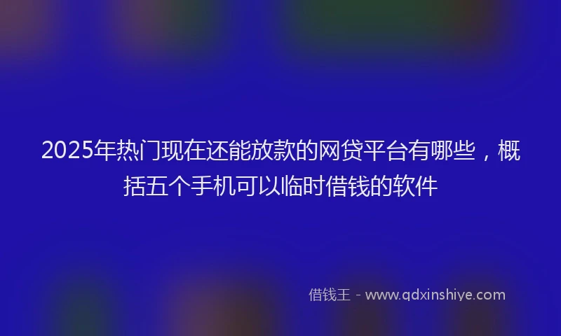 2025年热门现在还能放款的网贷平台有哪些，概括五个手机可以临时借钱的软件