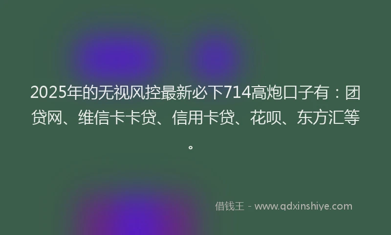 2025年的无视风控最新必下714高炮口子有：团贷网、维信卡卡贷、信用卡贷、花呗、东方汇等。