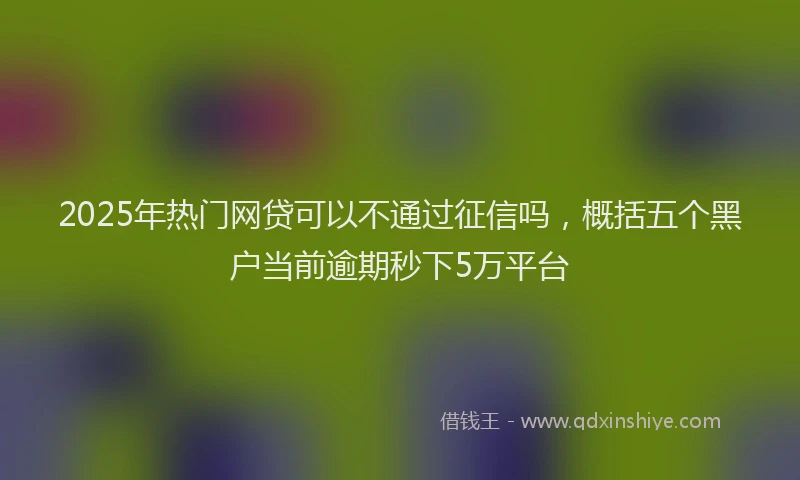 2025年热门网贷可以不通过征信吗，概括五个黑户当前逾期秒下5万平台