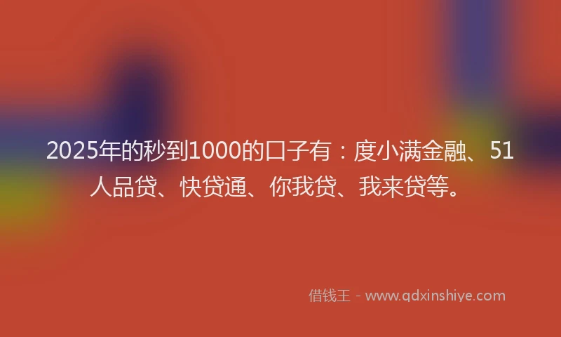 2025年的秒到1000的口子有：度小满金融、51人品贷、快贷通、你我贷、我来贷等。