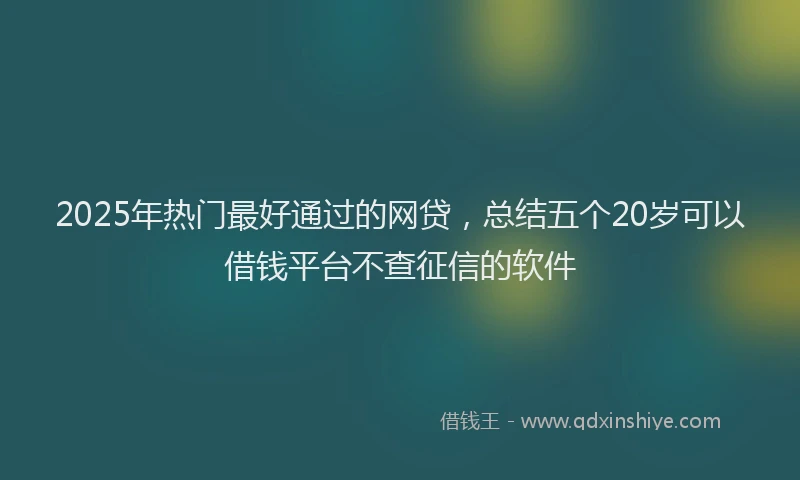 2025年热门最好通过的网贷，总结五个20岁可以借钱平台不查征信的软件