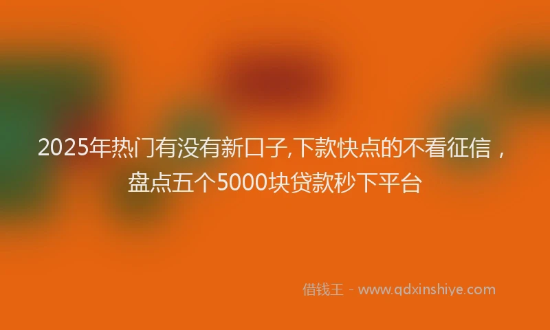 2025年热门有没有新口子,下款快点的不看征信，盘点五个5000块贷款秒下平台
