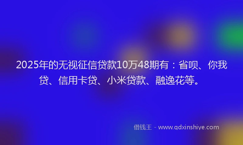 2025年的无视征信贷款10万48期有：省呗、你我贷、信用卡贷、小米贷款、融逸花等。