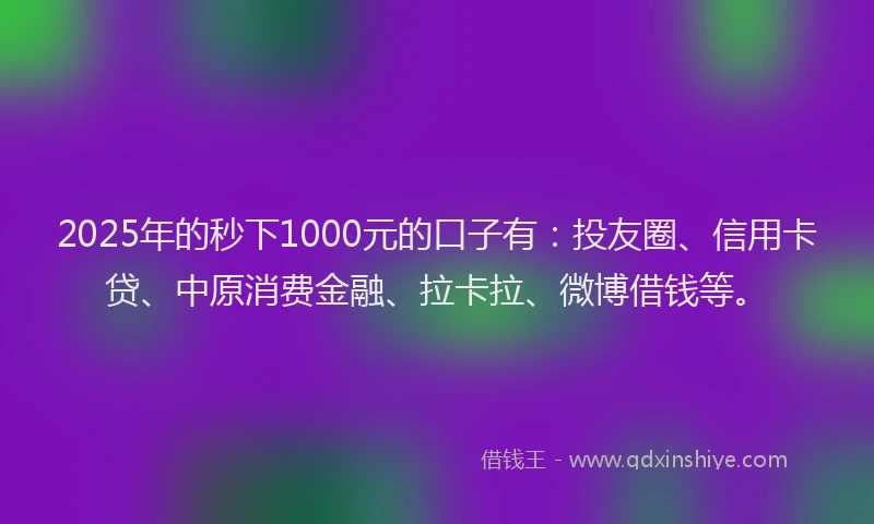 2025年的秒下1000元的口子有：投友圈、信用卡贷、中原消费金融、拉卡拉、微博借钱等。