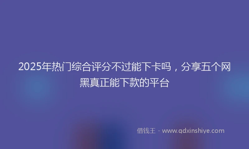 2025年热门综合评分不过能下卡吗，分享五个网黑真正能下款的平台