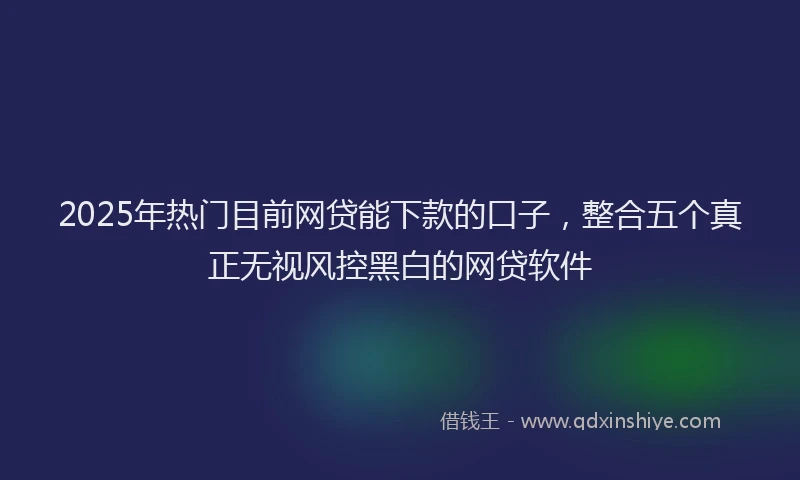 2025年热门目前网贷能下款的口子，整合五个真正无视风控黑白的网贷软件