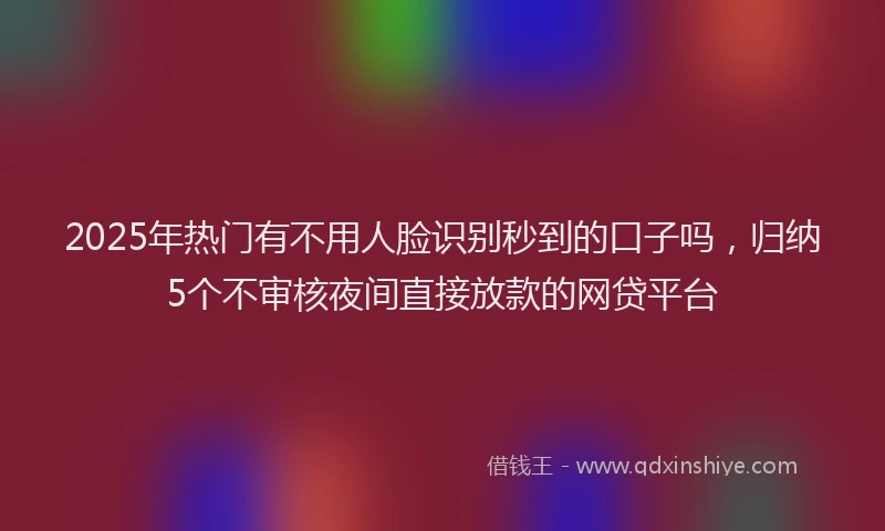 2025年热门有不用人脸识别秒到的口子吗，归纳5个不审核夜间直接放款的网贷平台