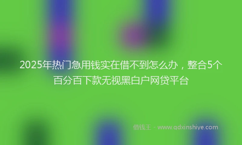 2025年热门急用钱实在借不到怎么办，整合5个百分百下款无视黑白户网贷平台