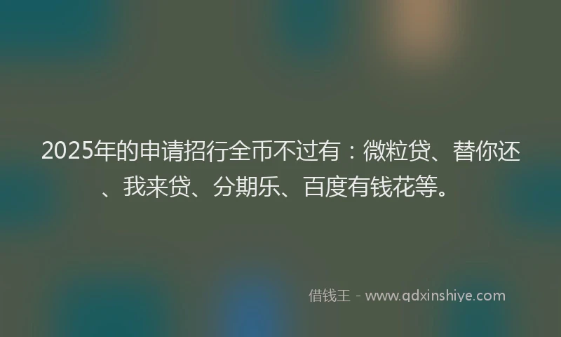 2025年的申请招行全币不过有：微粒贷、替你还、我来贷、分期乐、百度有钱花等。