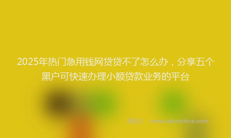 2025年热门急用钱网贷贷不了怎么办，分享五个黑户可快速办理小额贷款业务的平台