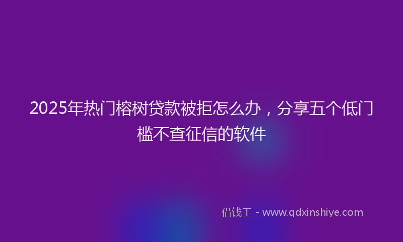 2025年热门榕树贷款被拒怎么办，分享五个低门槛不查征信的软件