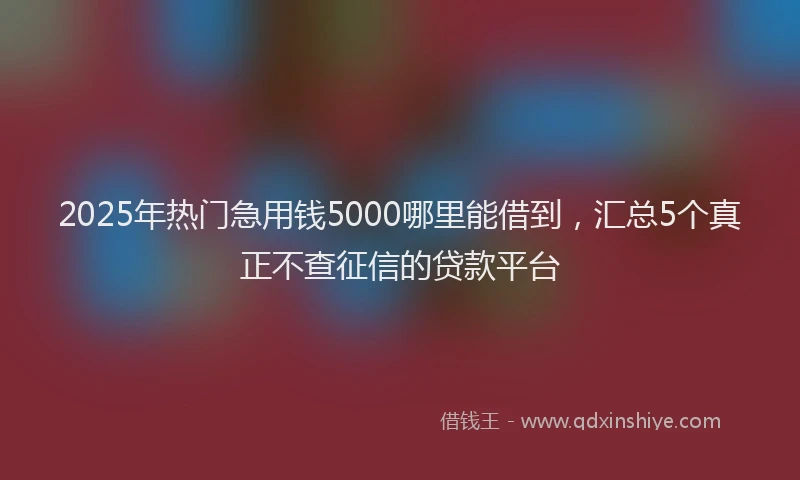 2025年热门急用钱5000哪里能借到，汇总5个真正不查征信的贷款平台