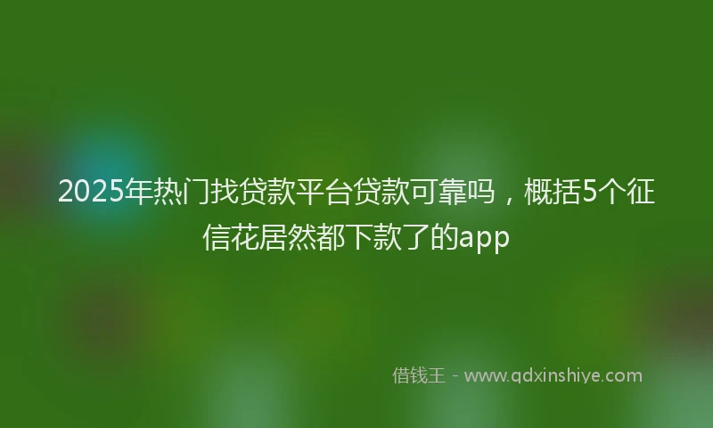 2025年热门找贷款平台贷款可靠吗，概括5个征信花居然都下款了的app