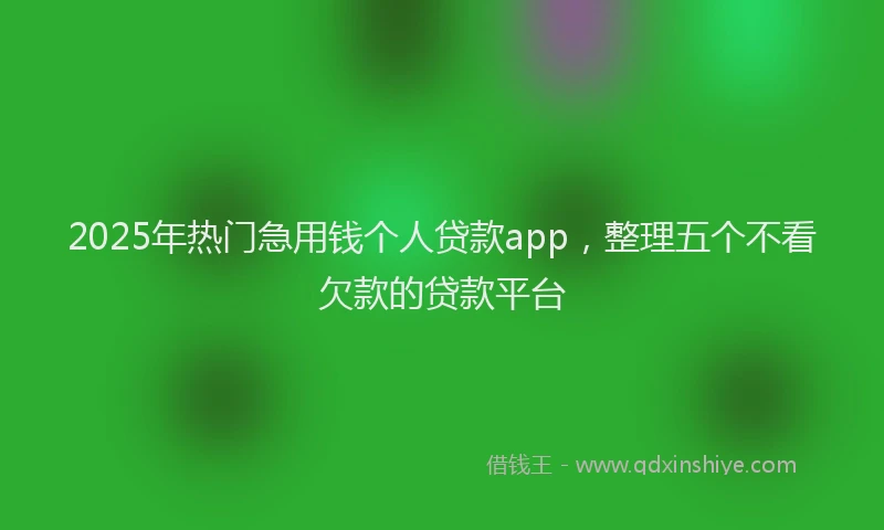 2025年热门急用钱个人贷款app，整理五个不看欠款的贷款平台