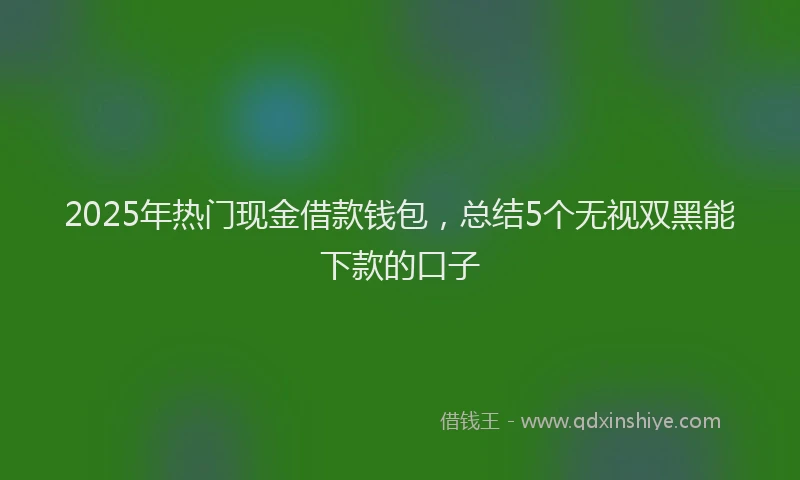 2025年热门现金借款钱包，总结5个无视双黑能下款的口子