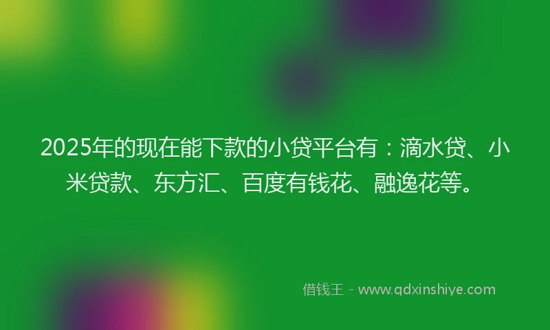 2025年的现在能下款的小贷平台有：滴水贷、小米贷款、东方汇、百度有钱花、融逸花等。