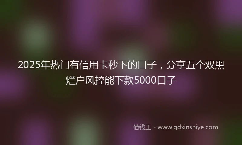 2025年热门有信用卡秒下的口子，分享五个双黑烂户风控能下款5000口子