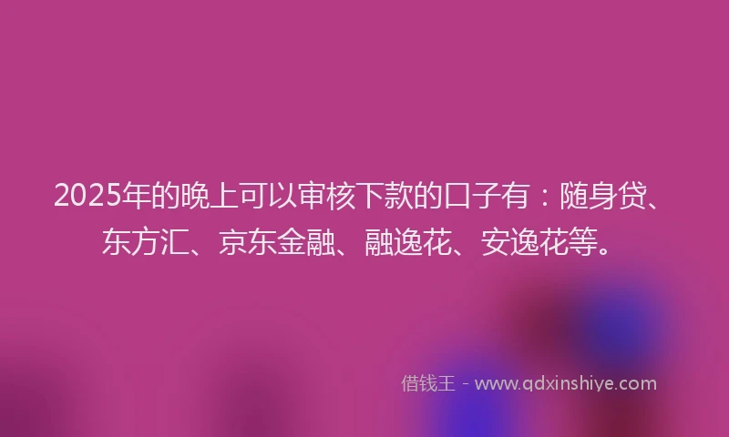 2025年的晚上可以审核下款的口子有：随身贷、东方汇、京东金融、融逸花、安逸花等。