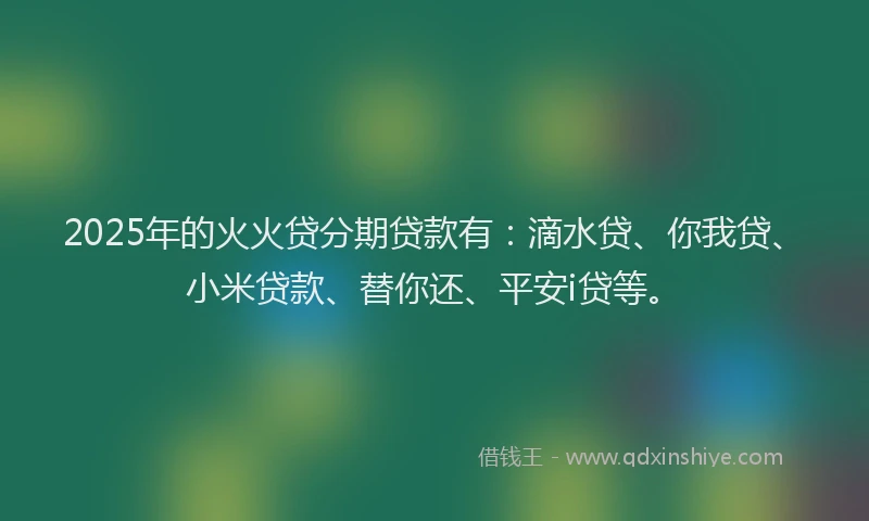 2025年的火火贷分期贷款有：滴水贷、你我贷、小米贷款、替你还、平安i贷等。