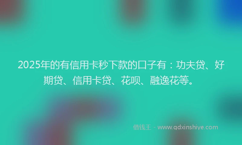 2025年的有信用卡秒下款的口子有：功夫贷、好期贷、信用卡贷、花呗、融逸花等。
