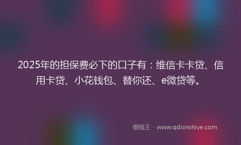 2025年的担保费必下的口子有：维信卡卡贷、信用卡贷、小花钱包、替你还、e微贷等。