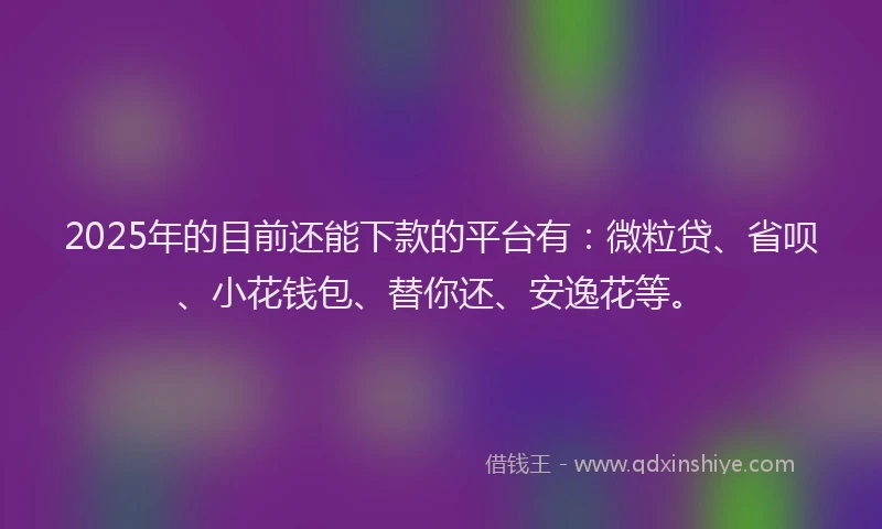 2025年的目前还能下款的平台有：微粒贷、省呗、小花钱包、替你还、安逸花等。