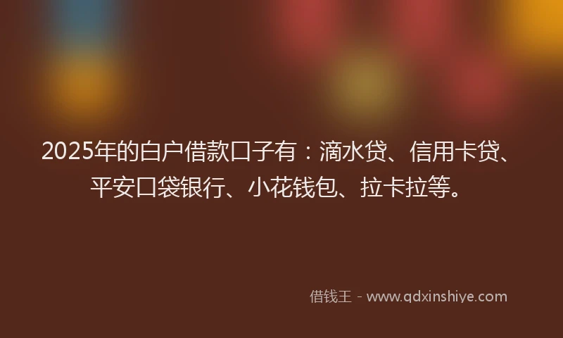 2025年的白户借款口子有：滴水贷、信用卡贷、平安口袋银行、小花钱包、拉卡拉等。