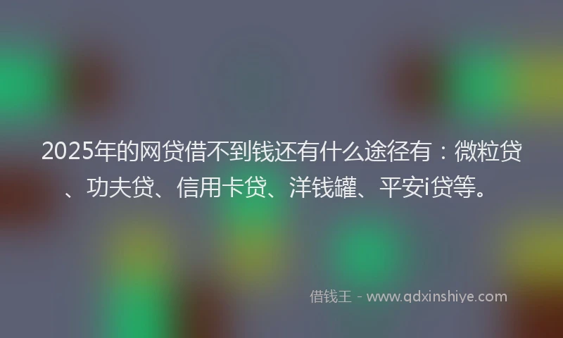 2025年的网贷借不到钱还有什么途径有：微粒贷、功夫贷、信用卡贷、洋钱罐、平安i贷等。