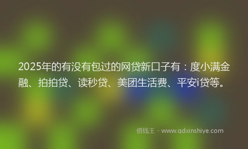 2025年的有没有包过的网贷新口子有：度小满金融、拍拍贷、读秒贷、美团生活费、平安i贷等。