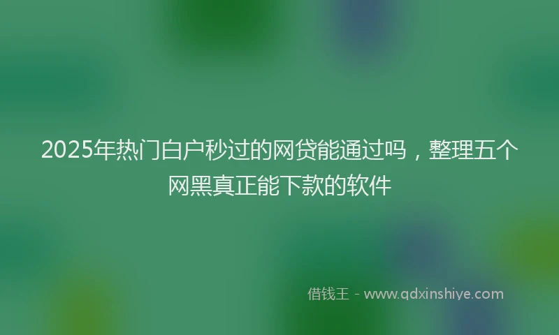 2025年热门白户秒过的网贷能通过吗，整理五个网黑真正能下款的软件