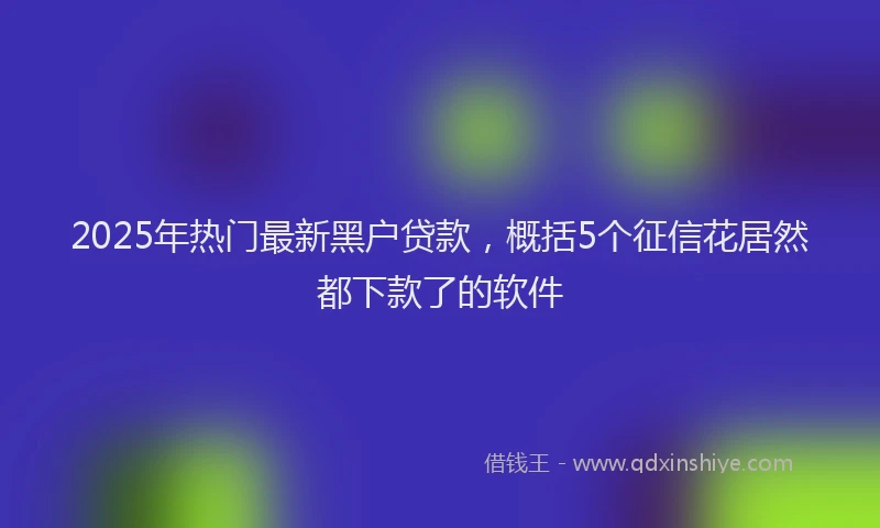 2025年热门最新黑户贷款，概括5个征信花居然都下款了的软件