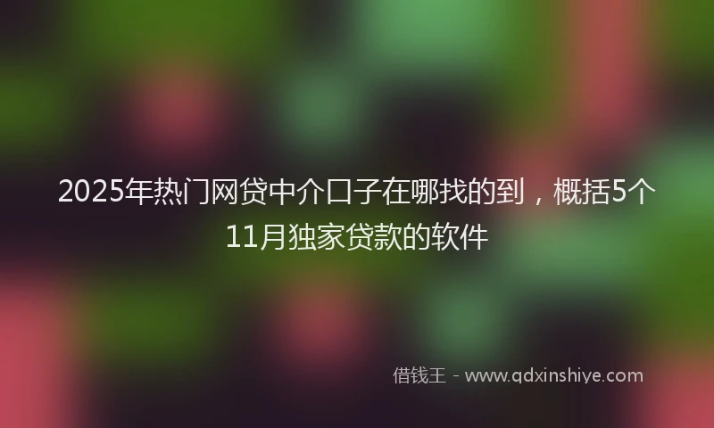 2025年热门网贷中介口子在哪找的到，概括5个11月独家贷款的软件