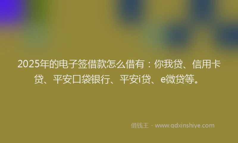 2025年的电子签借款怎么借有：你我贷、信用卡贷、平安口袋银行、平安i贷、e微贷等。