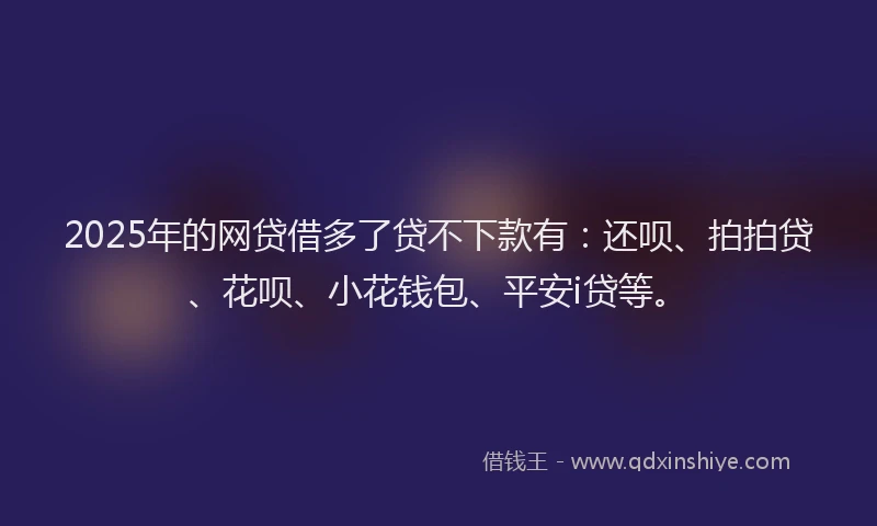 2025年的网贷借多了贷不下款有：还呗、拍拍贷、花呗、小花钱包、平安i贷等。
