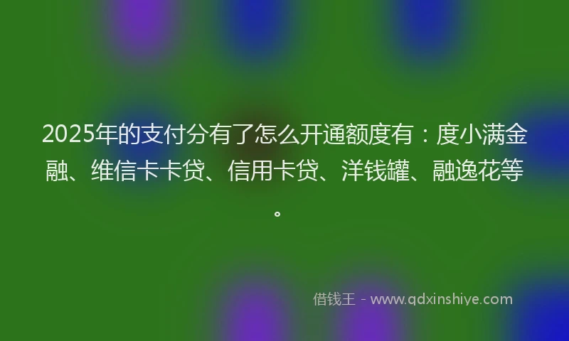 2025年的支付分有了怎么开通额度有：度小满金融、维信卡卡贷、信用卡贷、洋钱罐、融逸花等。