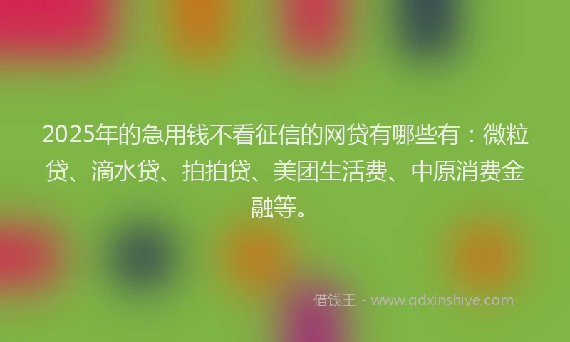 2025年的急用钱不看征信的网贷有哪些有：微粒贷、滴水贷、拍拍贷、美团生活费、中原消费金融等。
