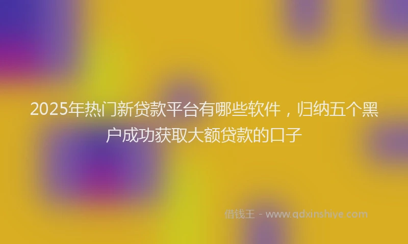 2025年热门新贷款平台有哪些软件，归纳五个黑户成功获取大额贷款的口子