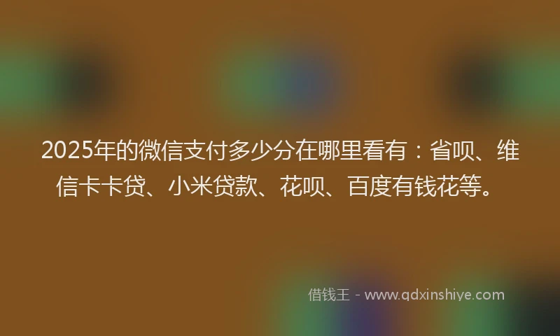 2025年的微信支付多少分在哪里看有：省呗、维信卡卡贷、小米贷款、花呗、百度有钱花等。