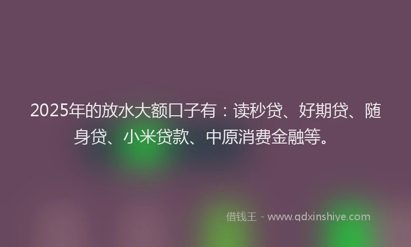 2025年的放水大额口子有：读秒贷、好期贷、随身贷、小米贷款、中原消费金融等。