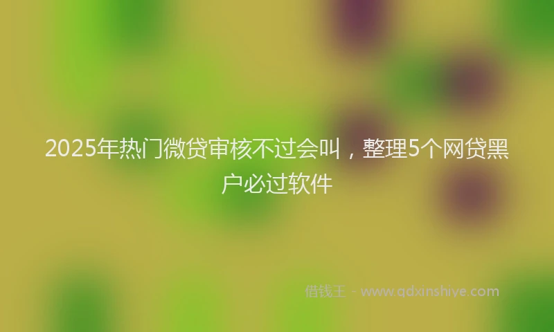 2025年热门微贷审核不过会叫，整理5个网贷黑户必过软件