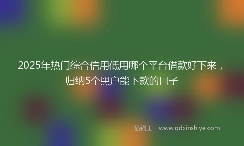 2025年热门综合信用低用哪个平台借款好下来，归纳5个黑户能下款的口子