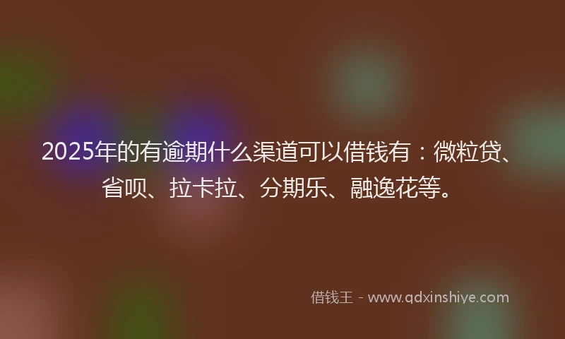 2025年的有逾期什么渠道可以借钱有：微粒贷、省呗、拉卡拉、分期乐、融逸花等。