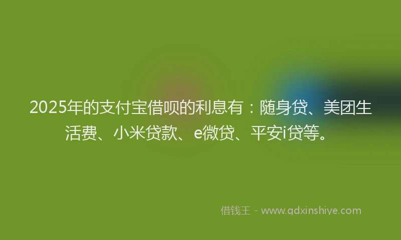 2025年的支付宝借呗的利息有：随身贷、美团生活费、小米贷款、e微贷、平安i贷等。